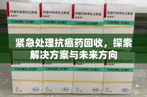 潮州紧急处理抗癌药回收，探索解决方案与未来方向
