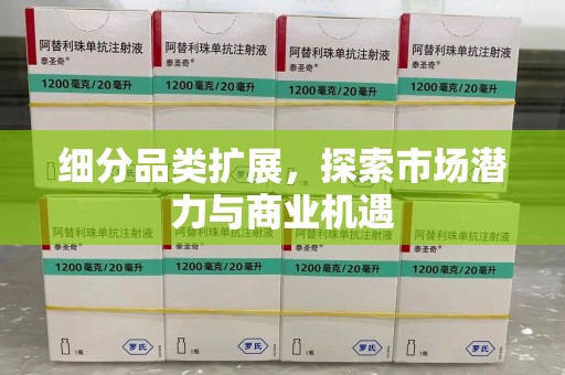 潮州细分品类扩展，探索市场潜力与商业机遇