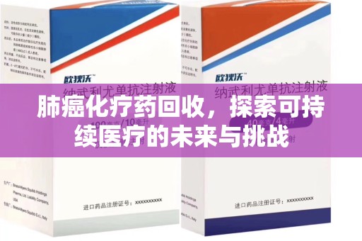 潮州肺癌化疗药回收，探索可持续医疗的未来与挑战