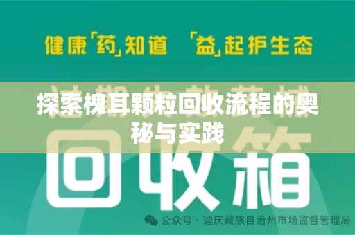 潮州探索槐耳颗粒回收流程的奥秘与实践