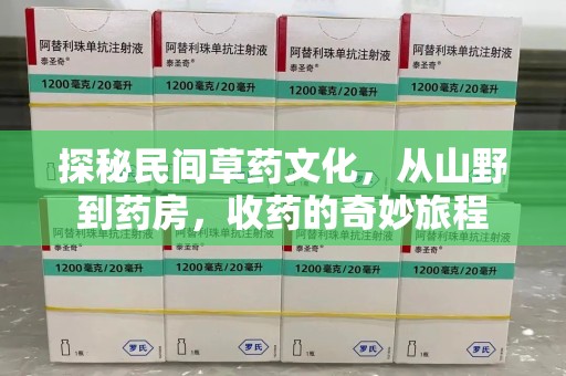 潮州探秘民间草药文化，从山野到药房，收药的奇妙旅程