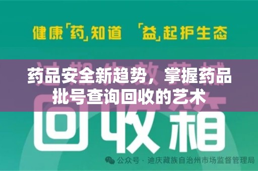 潮州药品安全新趋势，掌握药品批号查询回收的艺术